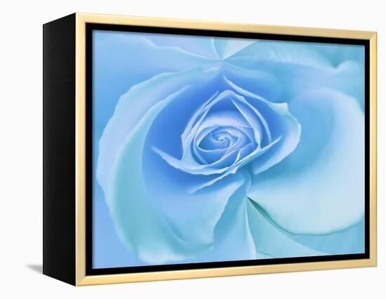 Close-Up of a Blue Rose-Adam Jones-Framed Premier Image Canvas