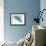 Close-Up of a Blue Whale Swimming Underwater (Balaenoptera Musculus)-null-Framed Giclee Print displayed on a wall