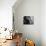 Close-up of a Boxer Sitting in the Corner of a Ring-null-Photographic Print displayed on a wall