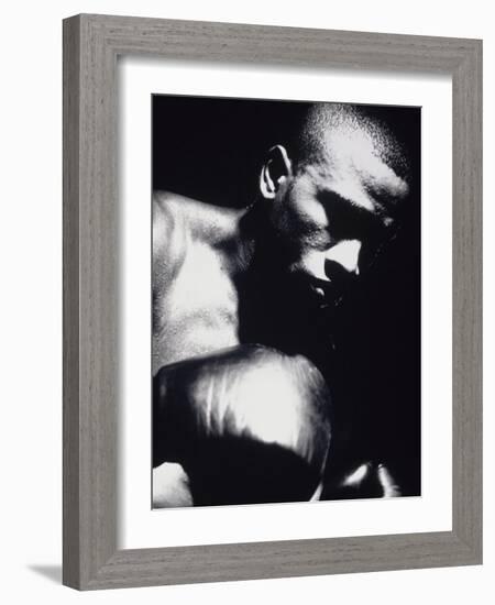 Close-up of a Boxer-null-Framed Photographic Print