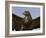 Close-Up of a Buzzard (Buteo Buteo), Captive, Cumbria, England, United Kingdom-Steve & Ann Toon-Framed Photographic Print