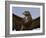 Close-Up of a Buzzard (Buteo Buteo), Captive, Cumbria, England, United Kingdom-Steve & Ann Toon-Framed Photographic Print