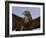 Close-Up of a Buzzard (Buteo Buteo), Captive, Cumbria, England, United Kingdom-Steve & Ann Toon-Framed Photographic Print