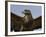 Close-Up of a Buzzard (Buteo Buteo), Captive, Cumbria, England, United Kingdom-Steve & Ann Toon-Framed Photographic Print