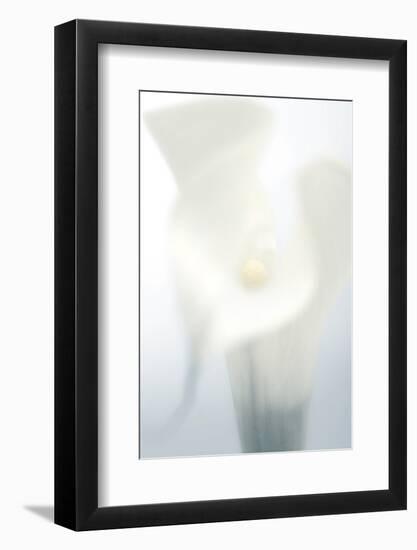 Close-up of a Calla Lily flower-null-Framed Photographic Print