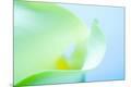 Premium Photographic Print