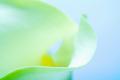 Premium Photographic Print