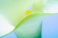 Premium Photographic Print