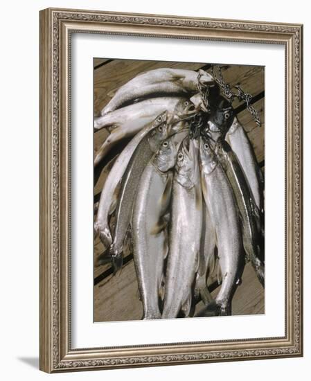 Close-Up of a Catch of Trout-Eliot Elisofon-Framed Photographic Print