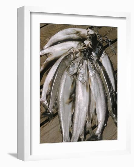 Close-Up of a Catch of Trout-Eliot Elisofon-Framed Photographic Print