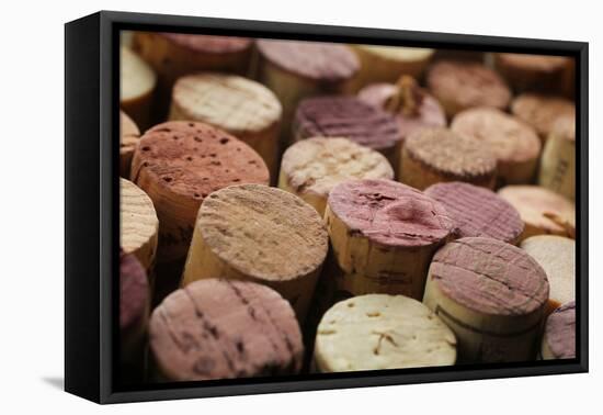 Close up of a Cork Wine with Different Variation of Wine Color-pink candy-Framed Premier Image Canvas