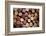 Close up of a Cork Wine with Different Variation of Wine Color-pink candy-Framed Photographic Print
