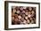 Close up of a Cork Wine with Different Variation of Wine Color-pink candy-Framed Photographic Print