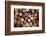 Close up of a Cork Wine with Different Variation of Wine Color-pink candy-Framed Photographic Print