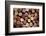 Close up of a Cork Wine with Different Variation of Wine Color-pink candy-Framed Photographic Print