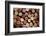 Close up of a Cork Wine with Different Variation of Wine Color-pink candy-Framed Photographic Print