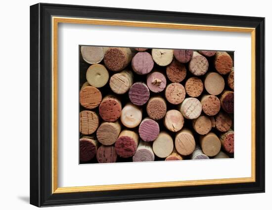 Close up of a Cork Wine with Different Variation of Wine Color-pink candy-Framed Photographic Print