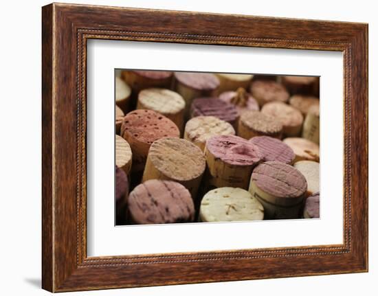 Close up of a Cork Wine with Different Variation of Wine Color-pink candy-Framed Photographic Print