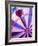 Close-up of a Dart in the Bull's-Eye of a Dartboard-null-Framed Photographic Print