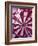 Close-up of a Dart in the Bull's-Eye of a Dartboard-null-Framed Photographic Print