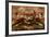 Close-Up of a European Crab Face Showing its Eyes (Cancer Pagurus), Atlantic Ocean.-Reinhard Dirscherl-Framed Photographic Print