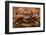 Close-Up of a European Crab Face Showing its Eyes (Cancer Pagurus), Atlantic Ocean.-Reinhard Dirscherl-Framed Photographic Print