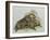 Close-Up of a Female Beaver Lying with its Young (Castor Fiber)-null-Framed Giclee Print