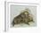 Close-Up of a Female Beaver Lying with its Young (Castor Fiber)-null-Framed Giclee Print