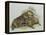 Close-Up of a Female Beaver Lying with its Young (Castor Fiber)-null-Framed Premier Image Canvas