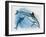 Close-Up of a Female Dolphin Swimming Underwater with a Calf (Delphinus Delphis)-null-Framed Giclee Print