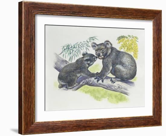 Close-Up of a Female Koala with a Joey-null-Framed Giclee Print