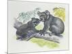 Giclee Print