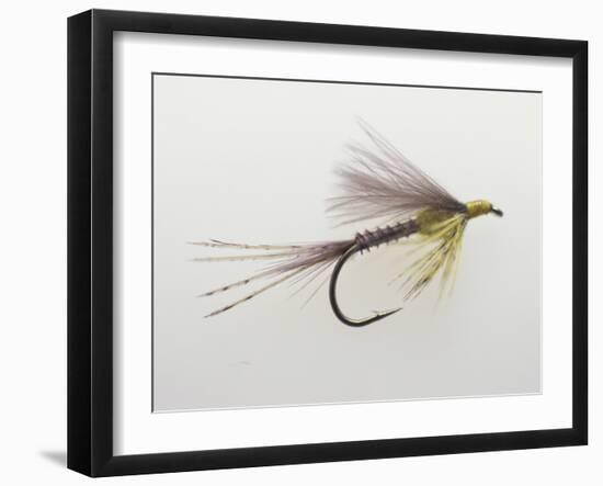 Close-up of a Fishing Lure-null-Framed Photographic Print