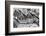 Close up of a Flock with Black and White Zebras-kjekol-Framed Photographic Print