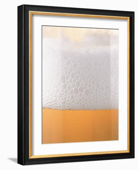 Close-up of a Glass of Lager-null-Framed Photographic Print