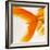 Close-up of a Goldfish Tail-Mark Mawson-Framed Photographic Print