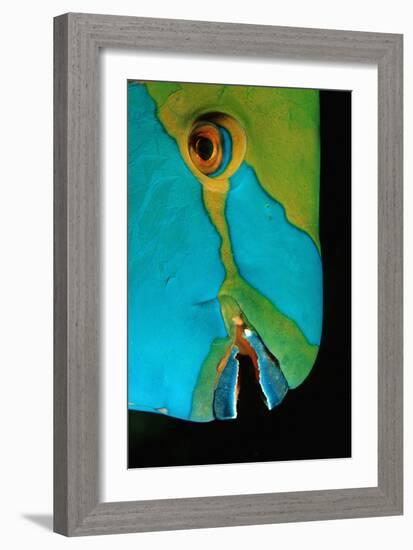 Close-Up of a Greentroat Parrotfish Head-Reinhard Dirscherl-Framed Photographic Print
