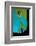 Close-Up of a Greentroat Parrotfish Head-Reinhard Dirscherl-Framed Photographic Print