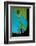 Close-Up of a Greentroat Parrotfish Head-Reinhard Dirscherl-Framed Photographic Print