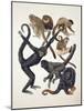 Close-Up of a Group of Primates-null-Mounted Giclee Print