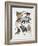 Close-Up of a Group of Primates-null-Framed Giclee Print