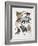 Close-Up of a Group of Primates-null-Framed Giclee Print