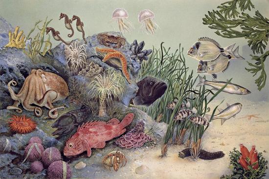 Premium Giclee Print, , large