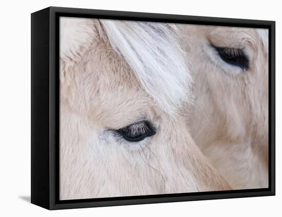 Close-Up of a Horse?S Eye, Lapland, Finland-Nadia Isakova-Framed Premier Image Canvas