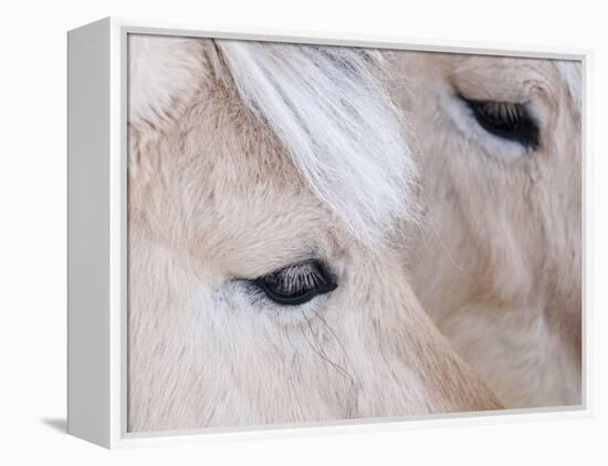 Close-Up of a Horse?S Eye, Lapland, Finland-Nadia Isakova-Framed Premier Image Canvas