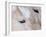 Close-Up of a Horse?S Eye, Lapland, Finland-Nadia Isakova-Framed Photographic Print