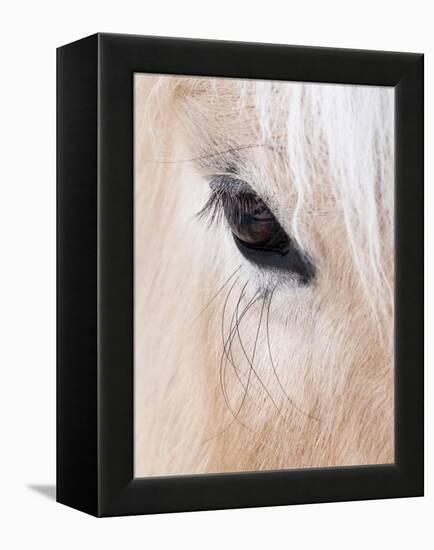 Close-Up of a Horse?S Eye, Lapland, Finland-Nadia Isakova-Framed Premier Image Canvas