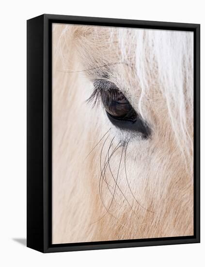 Close-Up of a Horse?S Eye, Lapland, Finland-Nadia Isakova-Framed Premier Image Canvas