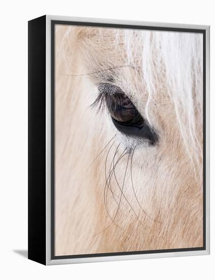 Close-Up of a Horse?S Eye, Lapland, Finland-Nadia Isakova-Framed Premier Image Canvas