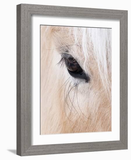 Close-Up of a Horse?S Eye, Lapland, Finland-Nadia Isakova-Framed Photographic Print